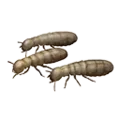 handful_of_termites.webp