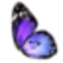 butterfly_wing.png
