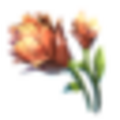 mountain_flower.png