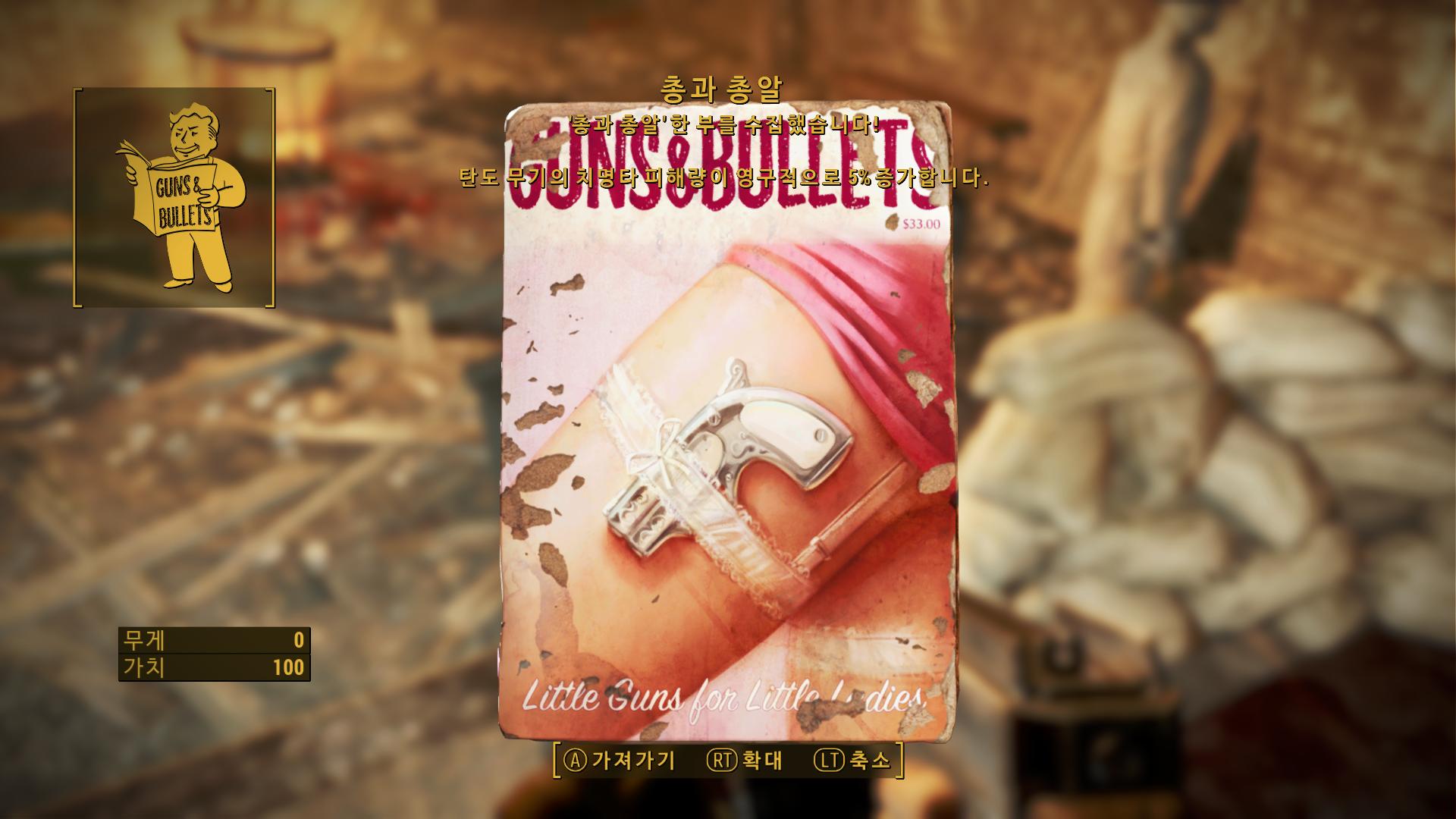 guns_and_bullets05.jpg