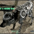 nothin_but_a_hound_dog.jpg