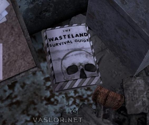 the_wasteland_survival_guide.jpg