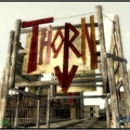 thorn.jpg