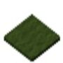 green-carpet.jpg