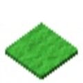 lime-carpet.jpg