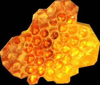 honeycomb.jpg