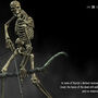 skeleton.jpg
