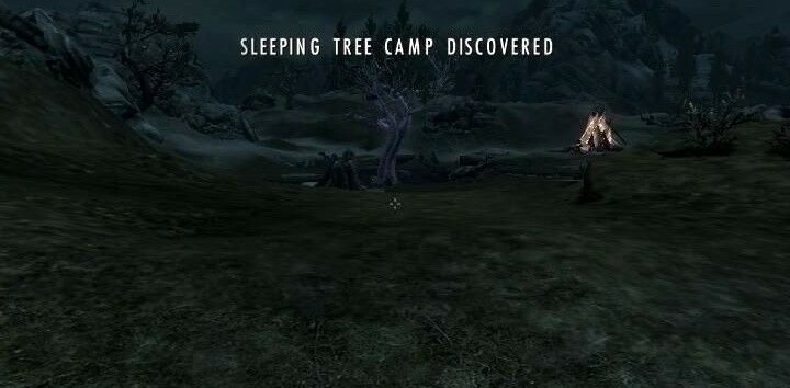 sleeping_tree_camp.jpg