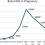 beta_hcg_in_pregnancy.jpg