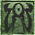 morro_db02.jpg