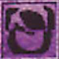 morro_dc19.jpg