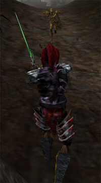 morro_dcd8.jpg