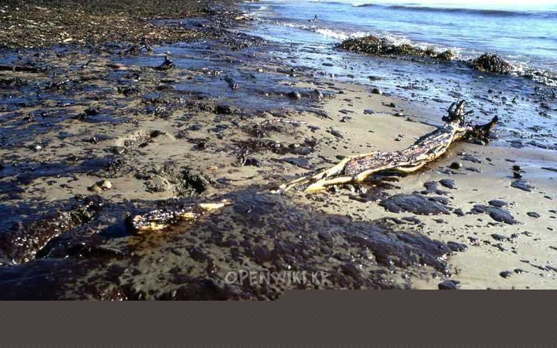 1969_santa_barbara_oil_spill3.jpg