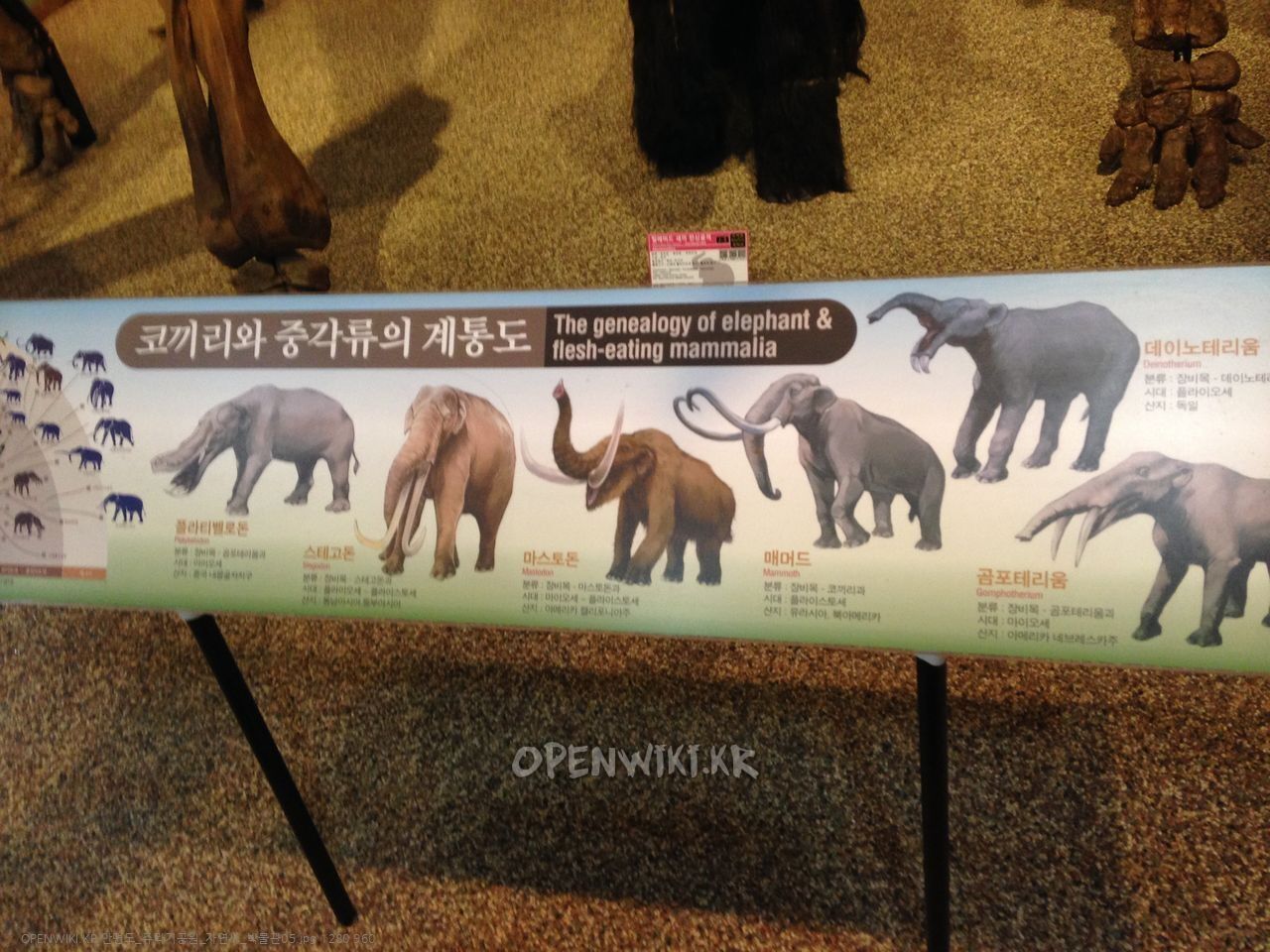안면도_쥬라기공원_자연사_박물관05.jpg