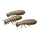 handful_of_termites.webp