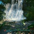 embrace_the_elements02.jpg