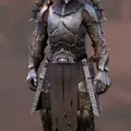 북부_수호자_갑옷.webp