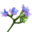 bugloss.png