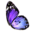 butterfly_wing.png