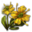 dragonthorn.png