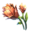 mountain_flower.png