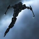 caracal_navy_issue.jpg