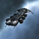 cormorant.jpg
