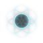 exploration_4645.png