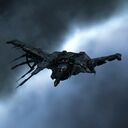 raven_navy_issue.jpg