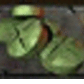 image177.gif