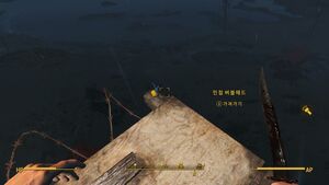 agility_bobblehead02.jpg