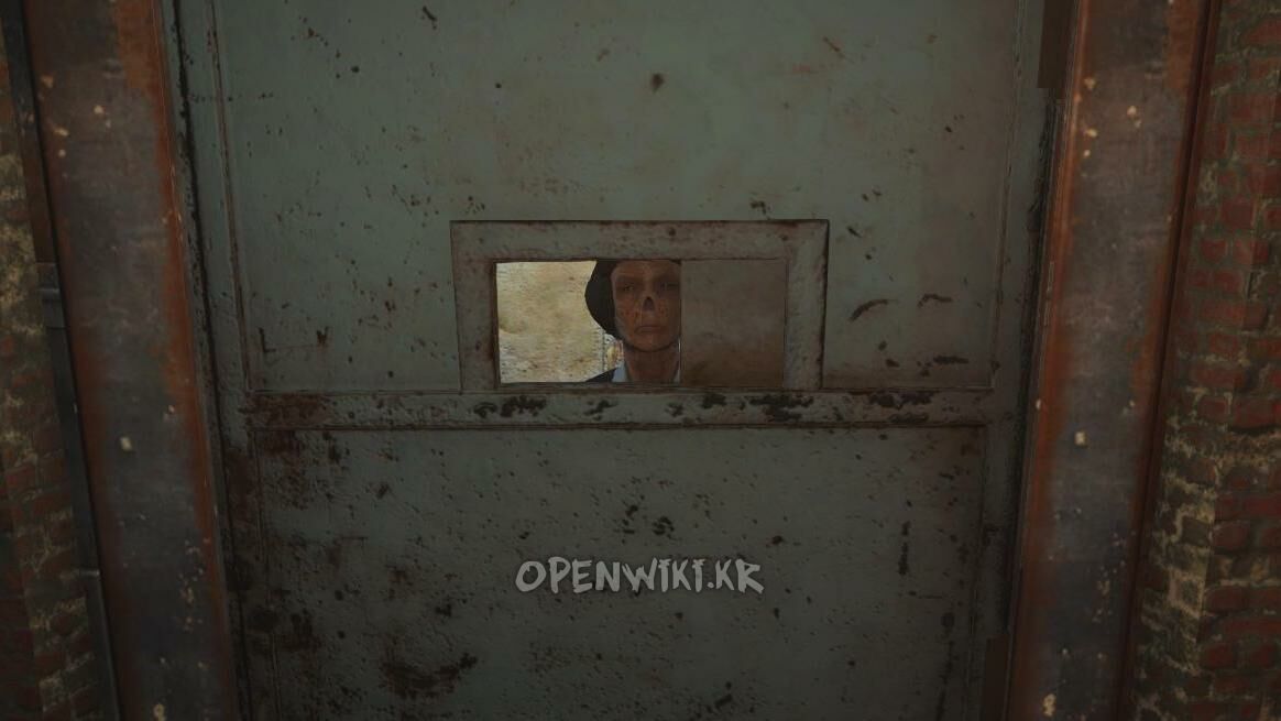 bobbi_no-nose.jpg