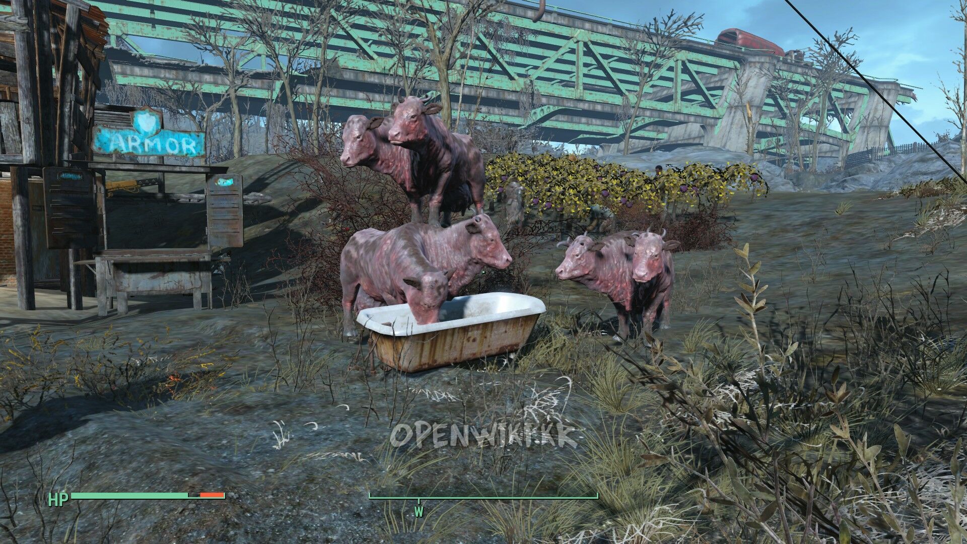 brahmin.jpg
