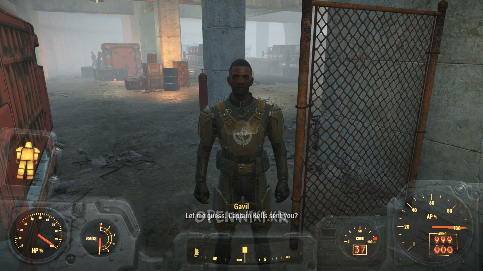 gavil.jpg
