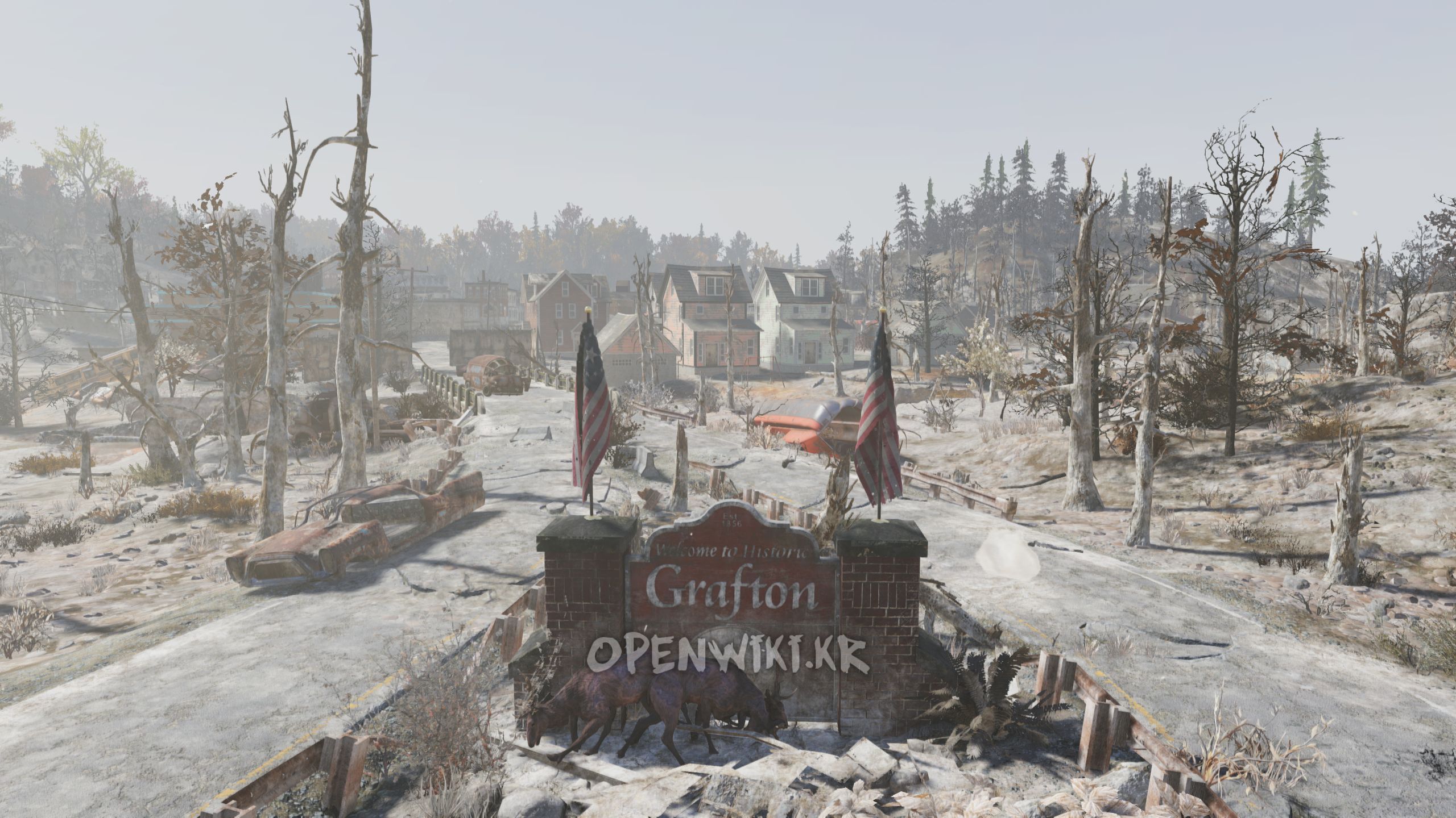 grafton.jpg