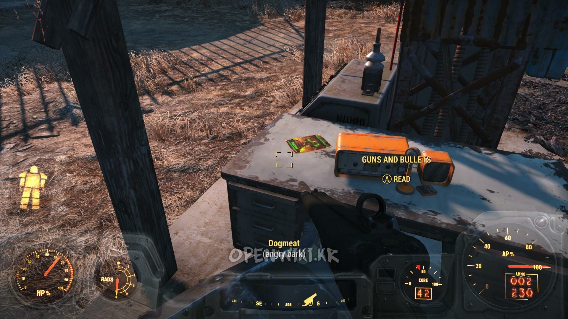 guns_and_bullets.jpg