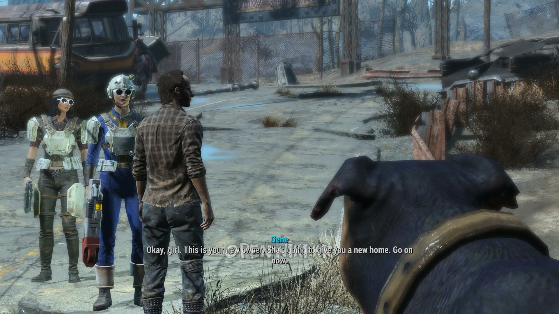 junkyard_dog.jpg