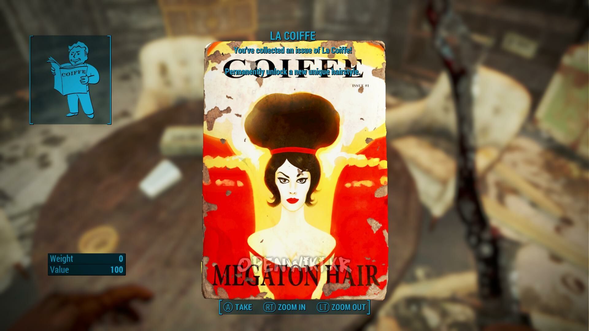 la_coiffe01.jpg