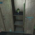 luck_bobblehead02.jpg