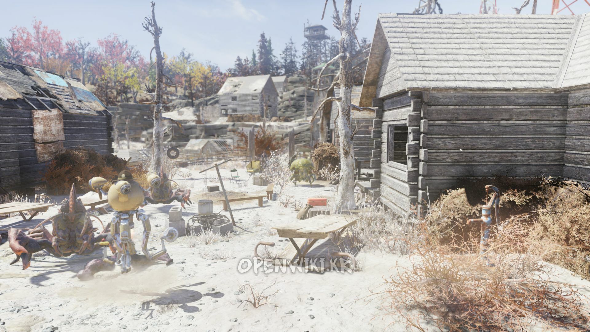 pioneer_scout_camp.jpg