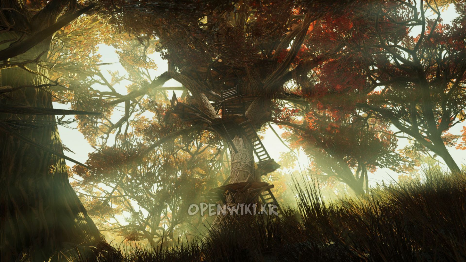 treetops.jpg
