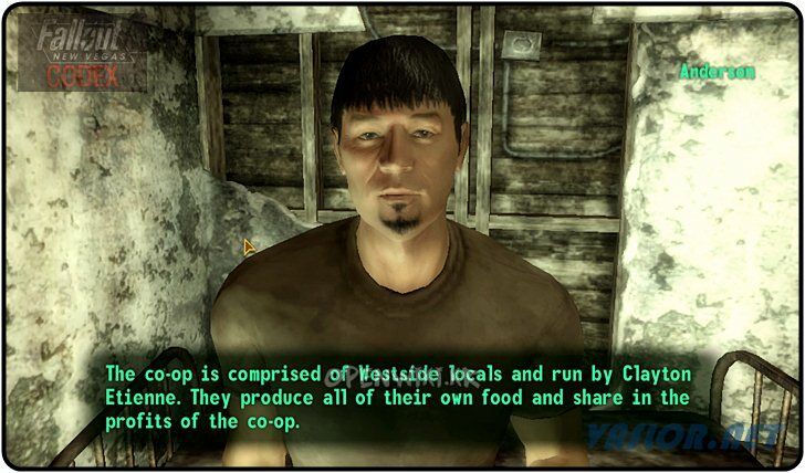 anderson.jpg
