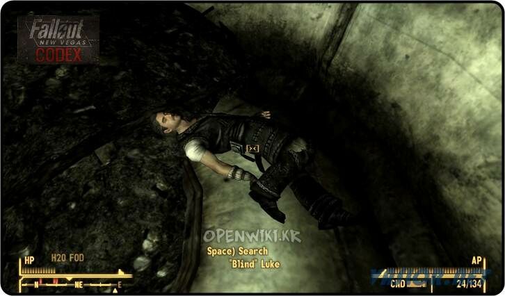 blind_luke.jpg