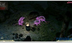 Broc Flower Cave