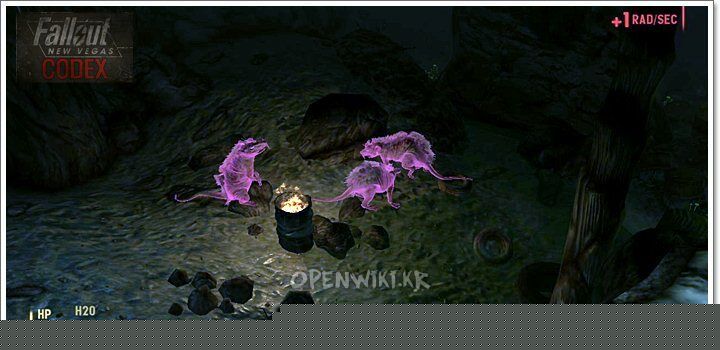 broc_flower_cave_1.jpg