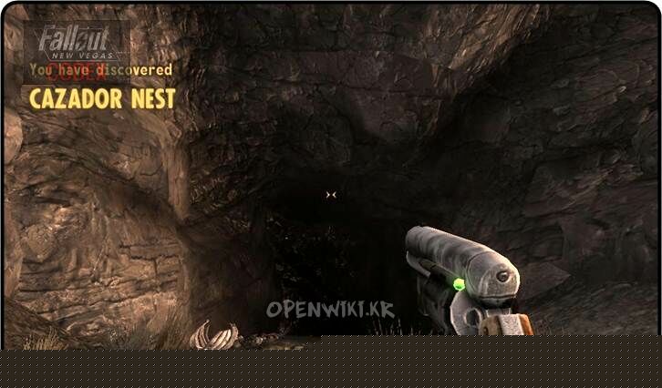 cazador_nest.jpg