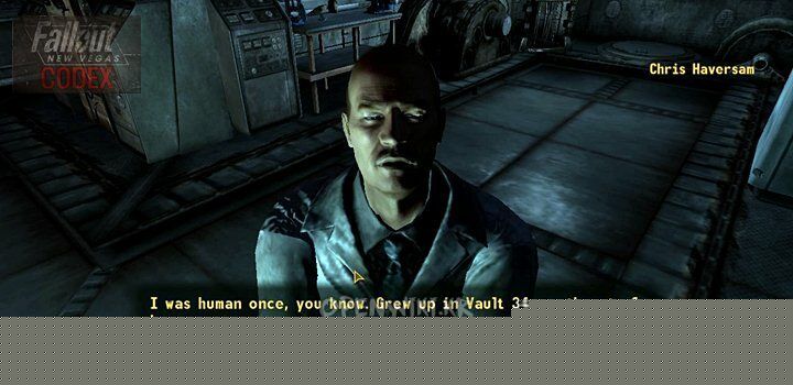 chris_haversam_3.jpg