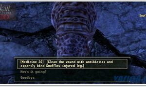 snuffles_injured_leg.jpg