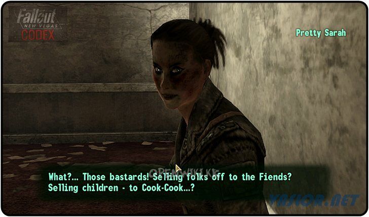 the_coyotes_9.jpg