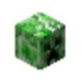 creeper-head.jpg